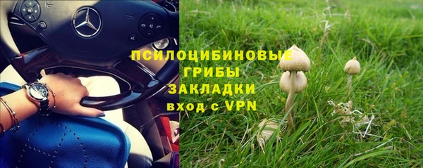 mix Магас