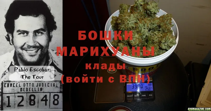 Шишки марихуана White Widow  маркетплейс как зайти  Петровск-Забайкальский 